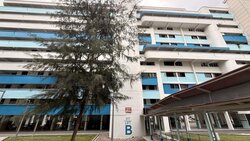 Blk 317 Hougang Avenue 7 (Hougang), HDB 3 Rooms #518919171